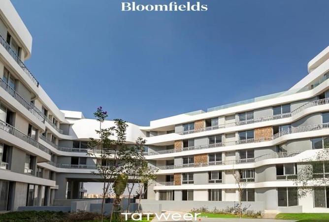 7764557 - صورة العقار 2