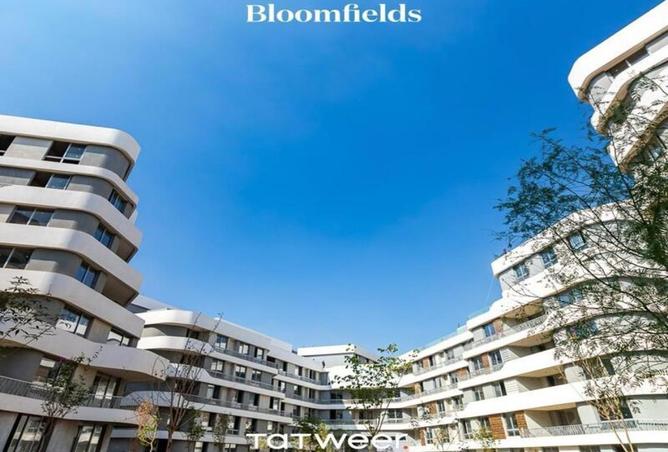 7764557 - الصورة الرئيسية للعقار