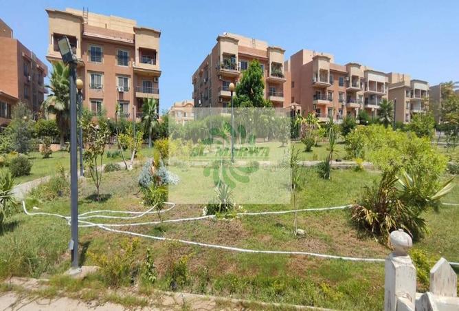 7768133 - Property Image 3