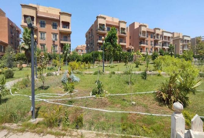 7768124 - صورة العقار 3