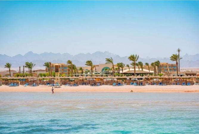 7767369 - Property Image 3