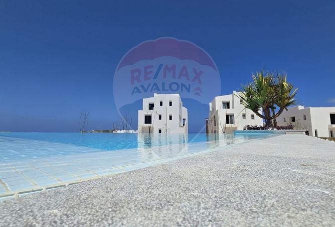 7690087 - Property Image 3