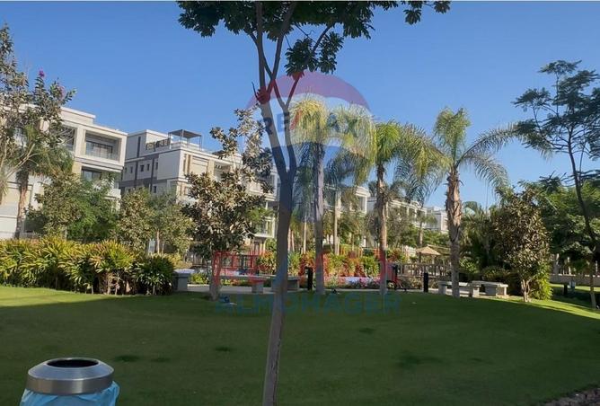 8256425 - صورة العقار 3