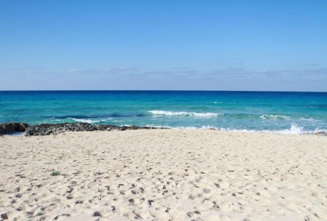 7770953 - الصورة الرئيسية للعقار