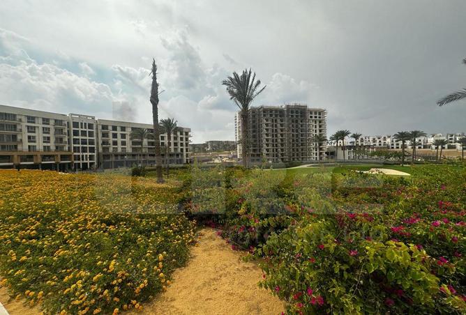 7774078 - صورة العقار 3