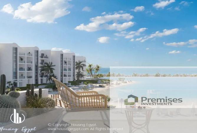 61681052 - Property Image 2