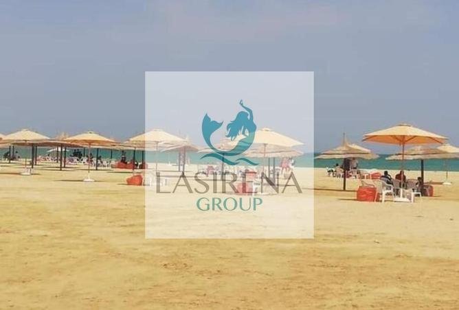 7774781 - Property Image 3