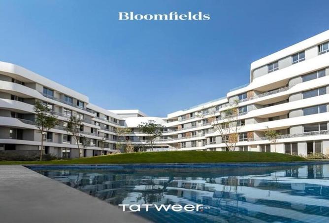 7782842 - صورة العقار 2