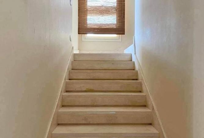 8289329 - صورة العقار 3