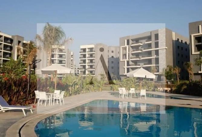 7781129 - Property Image 3