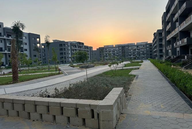 8033561 - صورة العقار 3