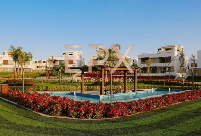 7785335 - Property Image 2