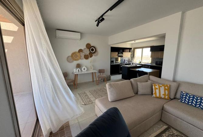 7783381 - Property Image 3