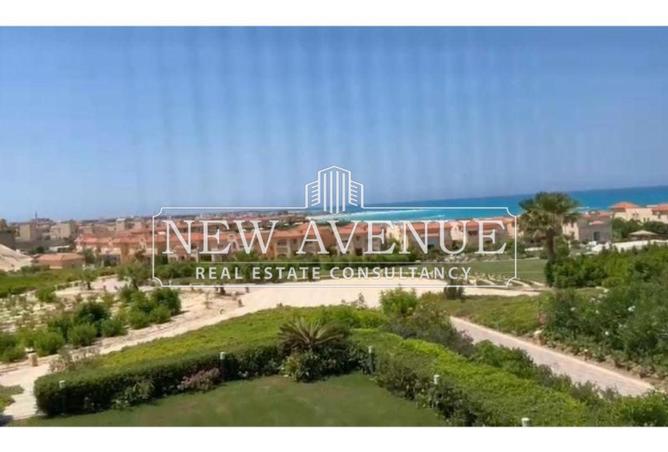 8404846 - صورة العقار 3