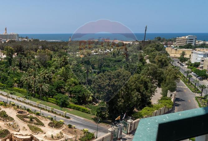 7784031 - الصورة الرئيسية للعقار