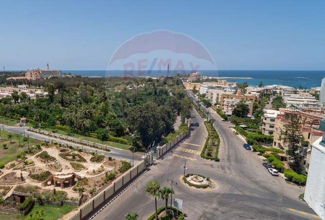 7784031 - صورة العقار 2