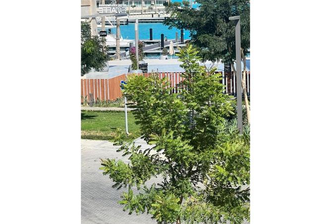 8100750 - صورة العقار 2