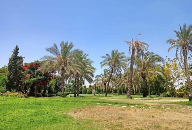 7784894 - صورة العقار 3