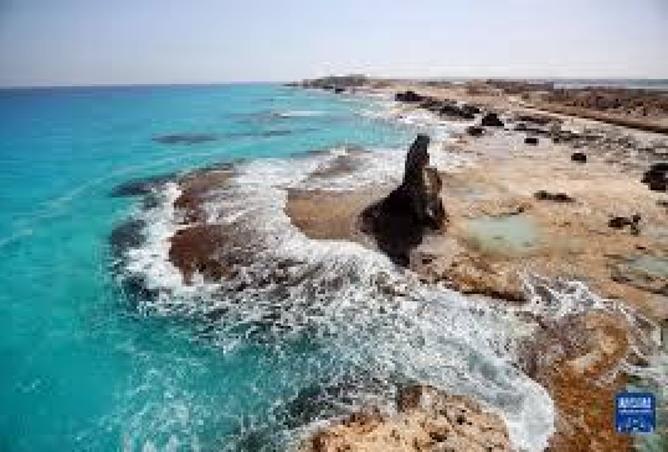 7784871 - صورة العقار 2