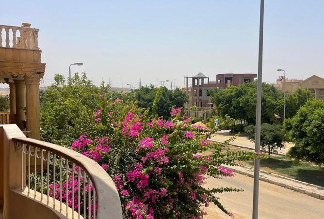 7787592 - صورة العقار 2