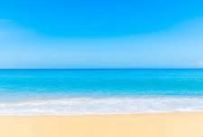 7787934 - صورة العقار 2