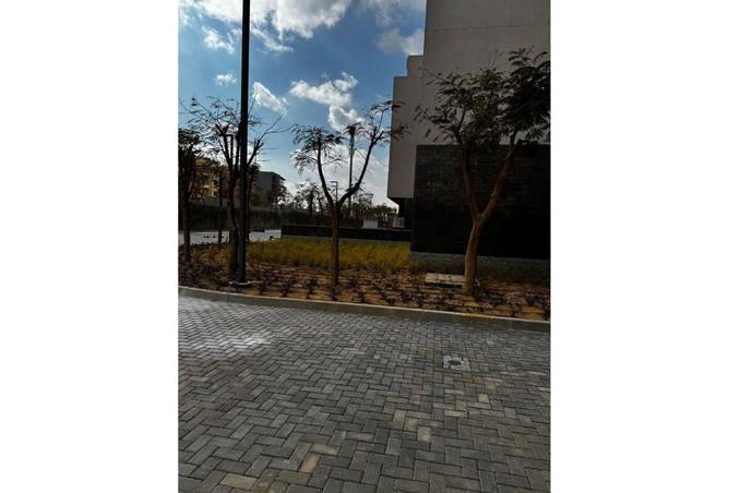 7792652 - صورة العقار 2