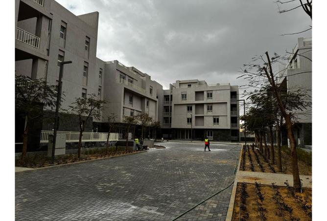 7792652 - صورة العقار 3