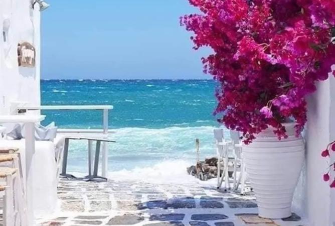 7907738 - صورة العقار 2