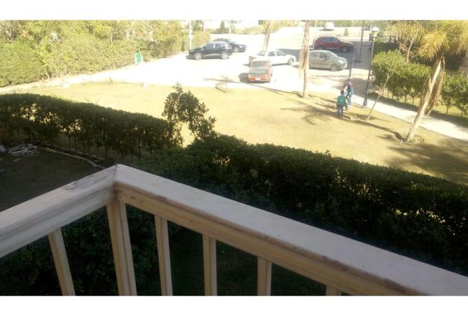 7799986 - صورة العقار 2