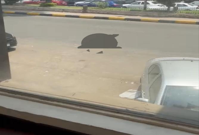 7796801 - صورة العقار 2