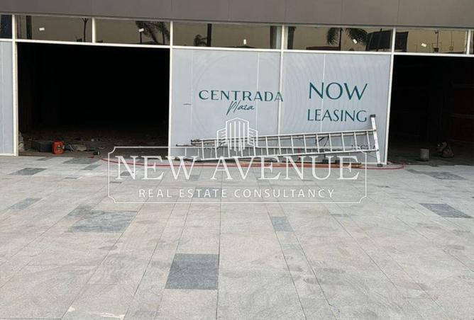 8241589 - Property Image 3