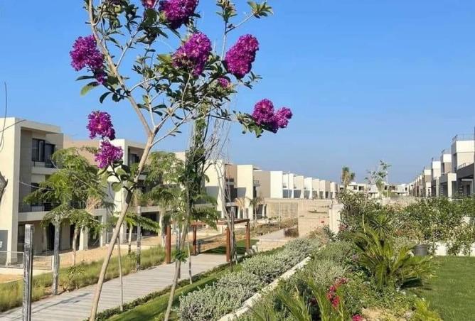 7797853 - صورة العقار 3