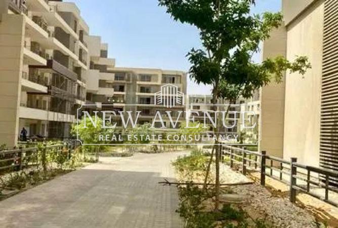 8282628 - صورة العقار 3