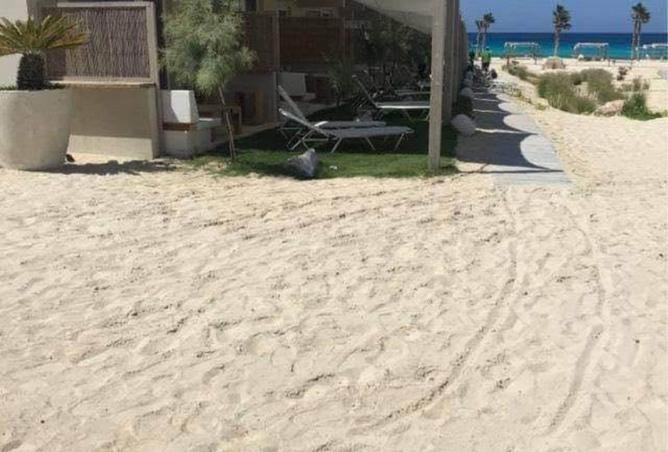 7907737 - صورة العقار 3