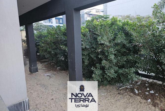 7802392 - صورة العقار 2