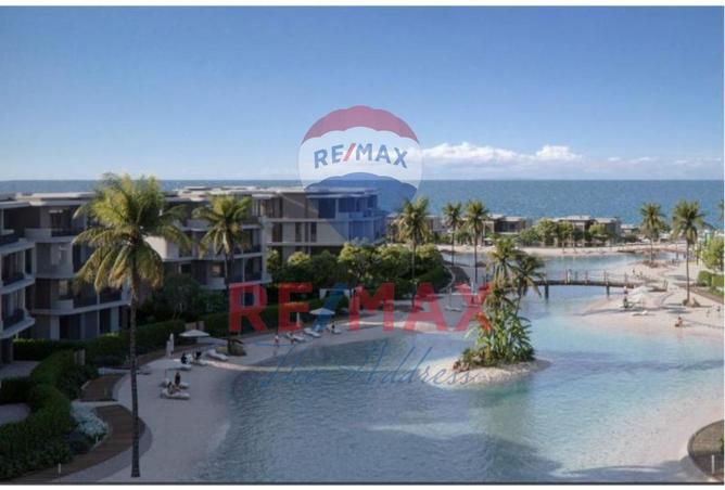 7803296 - صورة العقار 2