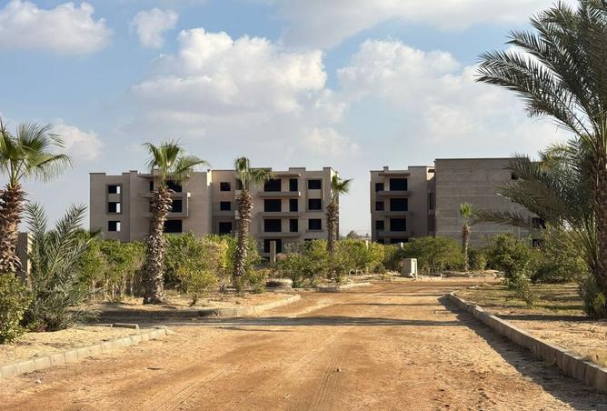 7804253 - صورة العقار 3