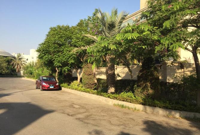 7805403 - صورة العقار 3