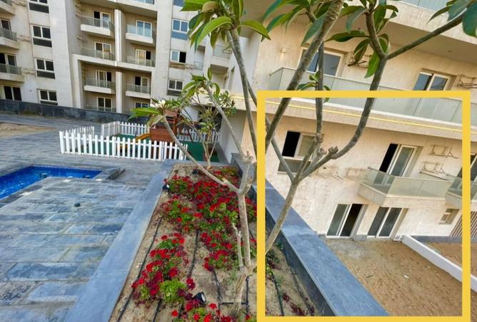 7809401 - صورة العقار 3