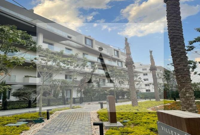 7805771 - Property Image 3