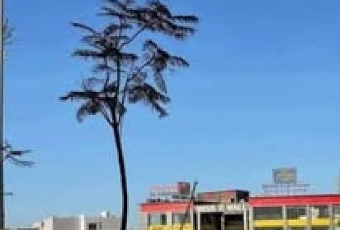 7813872 - الصورة الرئيسية للعقار