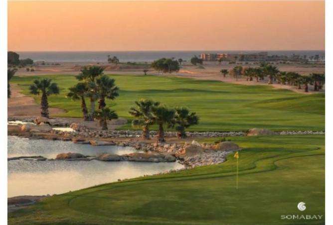 7806363 - Property Image 3