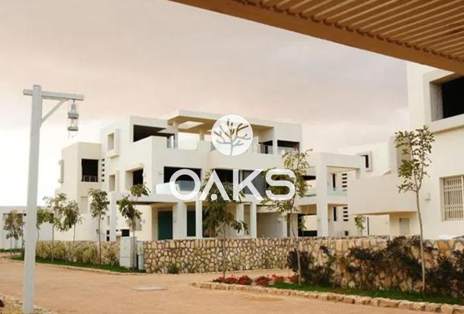 7981052 - صورة العقار 2