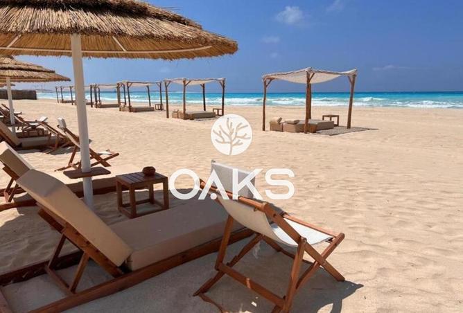 7981035 - صورة العقار 2