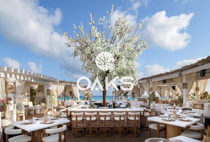 7981035 - الصورة الرئيسية للعقار