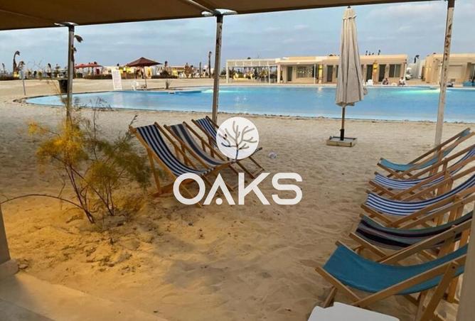 7981035 - صورة العقار 3