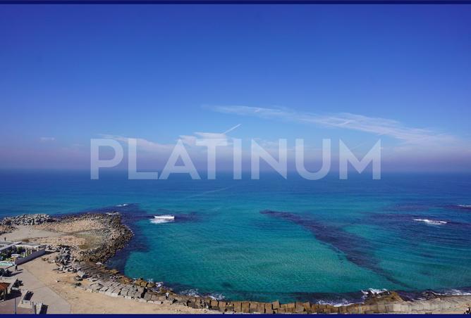 65913446 - صورة العقار 3