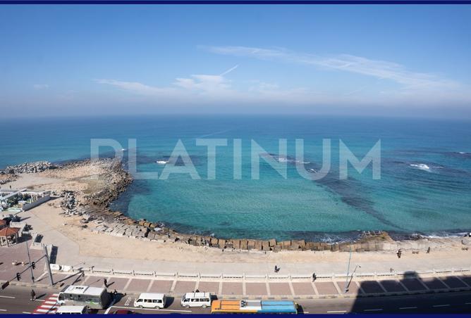 65913446 - الصورة الرئيسية للعقار