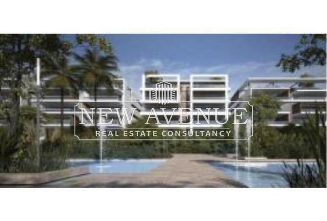 8338703 - Property Image 3