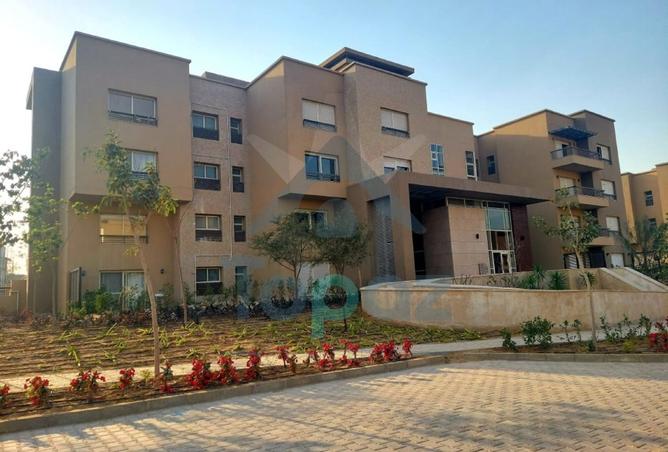 8393136 - الصورة الرئيسية للعقار